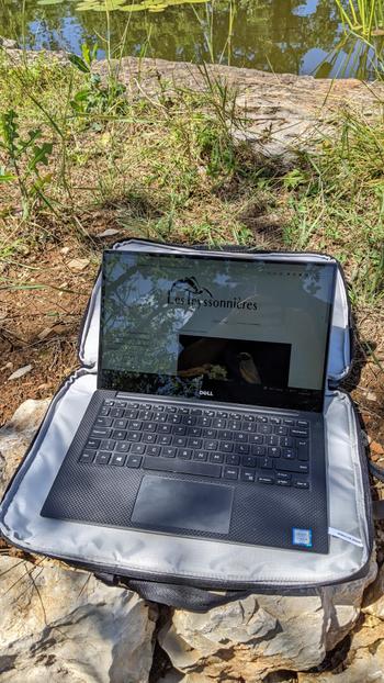 f-stop Dyota Laptop Sleeve Review