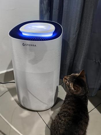 Sterra Sterra Breeze™ Air Purifier Review