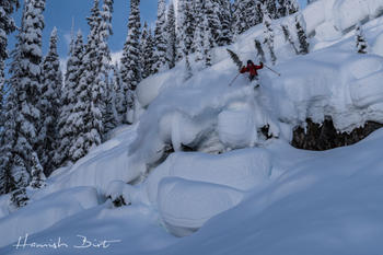 Meier Skis Claim Jumper Review