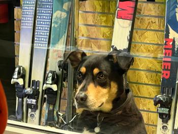 Meier Skis BYOSS: Build your own ski or snowboard class Review
