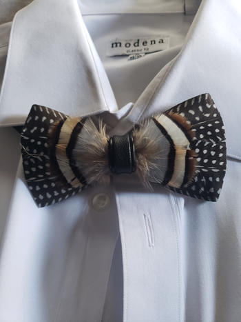 Bow SelecTie Wild Feather Bow Tie Review