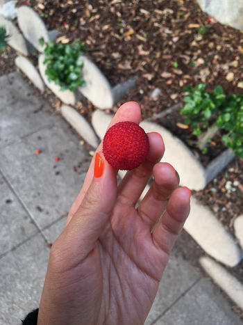 Cirque Colors Haze Glaze Matte Top Coat Review