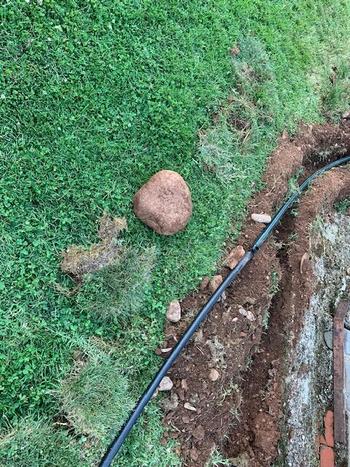 SunshowerOnline Antelco Poly Ratchet Clamps Review