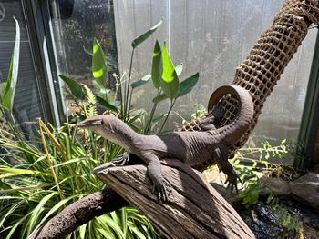 SunshowerOnline Reefe Submersible Biological Pre-Filter Review