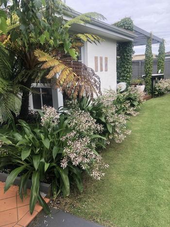 SunshowerOnline Hunter MP Rotator Nozzles (MP800SR) Review