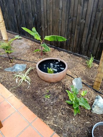 SunshowerOnline Reefe Low Voltage Pond Pumps Review