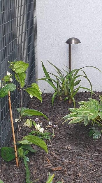 SunshowerOnline Low Voltage Garden Lighting Cable Review