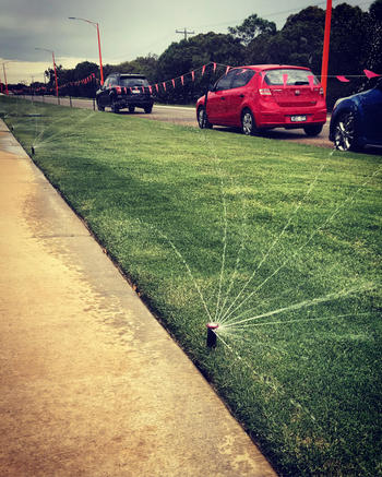 SunshowerOnline Rain Bird R-VAN Rotary Nozzles Review