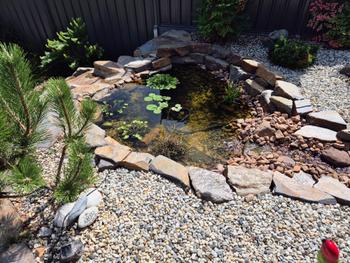 SunshowerOnline PondMAX EVO II Series Low Voltage DC Pond Pumps Review