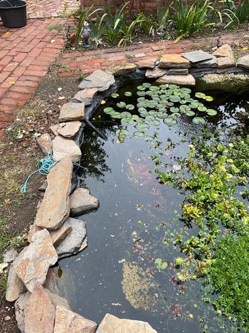 SunshowerOnline PondMAX Aeration Pump Kits Review