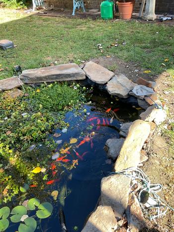 SunshowerOnline PondMAX Aeration Pump Kits Review