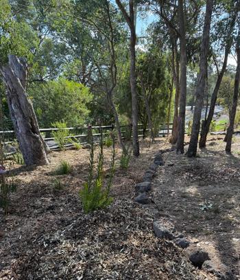 SunshowerOnline Drip Irrigation DIY Kit (inc. Rain Bird Timer) Review