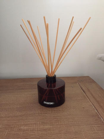 Mask Co. Air Freshener (100ml) Review