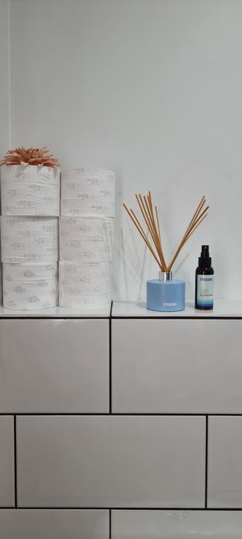 Mask Co. Air Freshener (100ml) Review