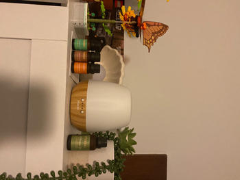 Mask Co.  Review