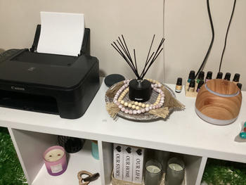 Mask Co. Reed Diffuser Refills (130ml) Review