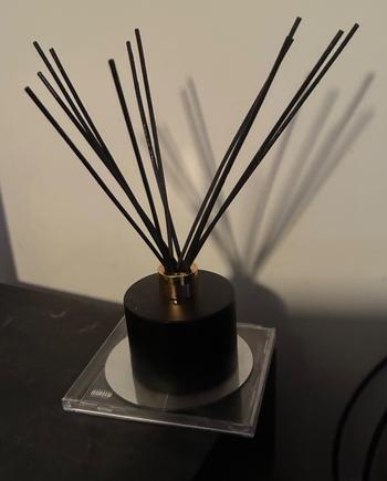 Mask Co. Reed Diffuser Refills (130ml) Review