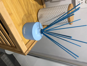 Mask Co. Reed Diffuser Refills (130ml) Review