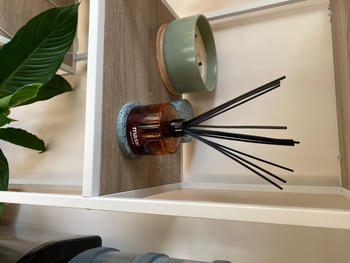 Mask Co. Reed Diffuser Refills (130ml) Review
