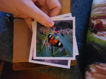 FoxPrint 4x6 Prints With Border Review