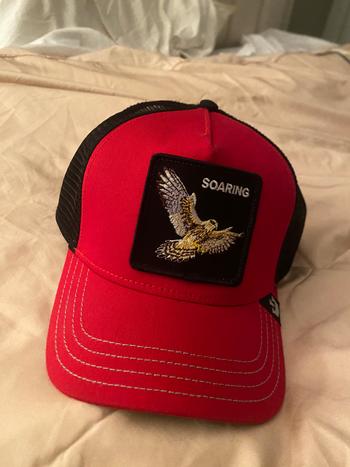 The Soaring Bird
