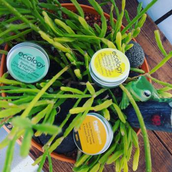 Ecology Skincare   Add a Cleanse Pack (a Konjac Sponge   a Makeup Removal Cloth in Cotton Bag) for $21 Review