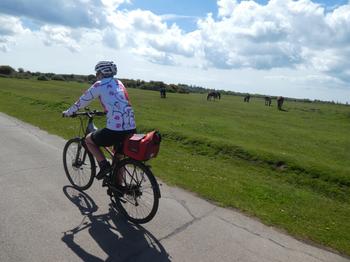 Freestylecycling Snoopy Dog Cartoon Women's Long Sleeve Cycling Jersey Review