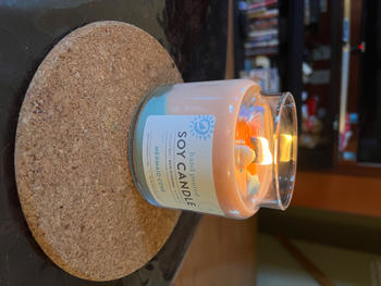 Sugar + Spruce A Bath And Body Apothecary Mermaid Cove Candle Large Review