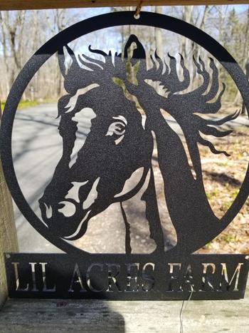 Lakeshore Metal Decor Horse Monogram Review