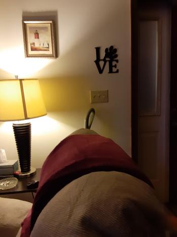 Lakeshore Metal Decor Dog Love with Paw Review