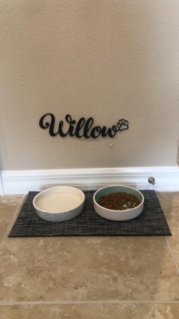 Lakeshore Metal Decor Pet Name with Paw Review