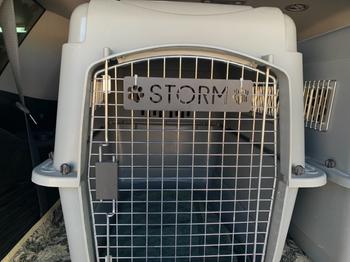 Lakeshore Metal Decor Pet Name Plaque with Paws Review