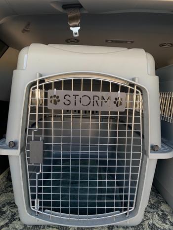 Lakeshore Metal Decor Pet Name Plaque with Paws Review