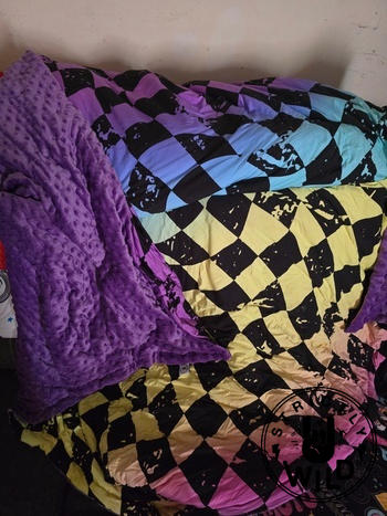 Strictly Wild Rainbow Checker Blanket Review