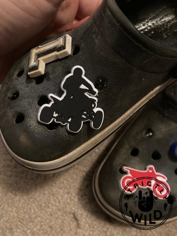 Strictly Wild Quad Croc Charm Review