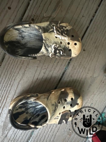 Strictly Wild FMX Croc Charm Review
