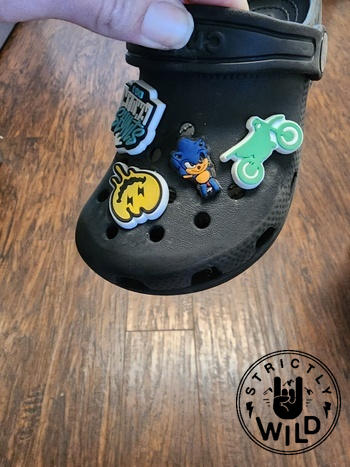 Strictly Wild Kawasaki Croc Charm Review