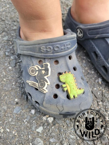 Strictly Wild Wheelie Croc Charm Review