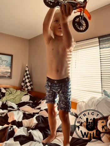 Strictly Wild Fast Boxers Review