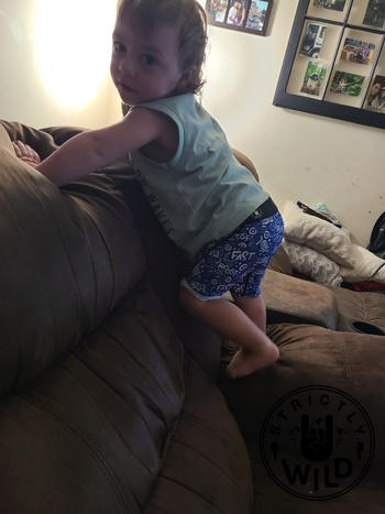 Strictly Wild Fast Boxers Review