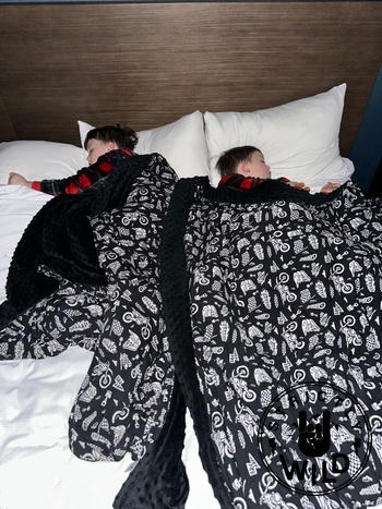 Strictly Wild Lightning Speed Blanket Review