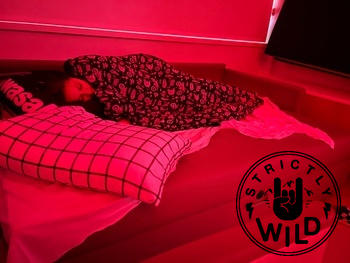 Strictly Wild Lightning Speed Blanket Review