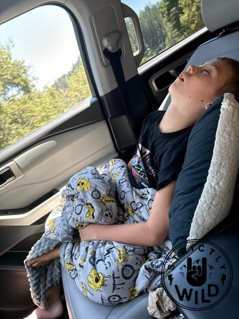 Strictly Wild Shadow Rider Blanket Review