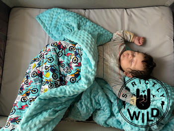 Strictly Wild Ride All Day Blanket Review