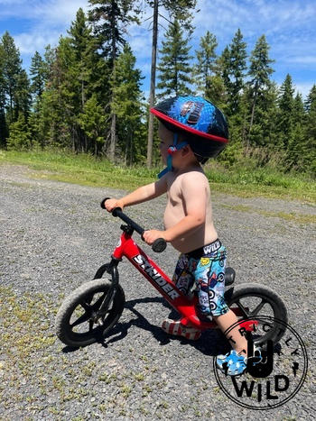 Strictly Wild Ride All Day Boxers Review