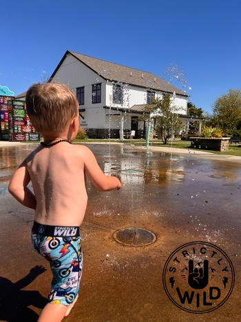 Strictly Wild Ride All Day Boxers Review