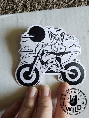 Strictly Wild French Bulldog Dirt Bike Sticker Review