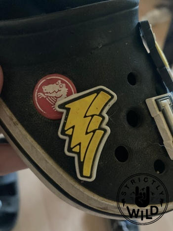 Strictly Wild Lightning Bolt Croc Charm Review