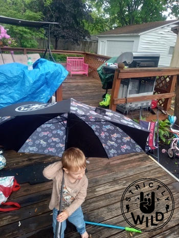 Strictly Wild Bike Life Umbrella (CANNOT SHIP WITH ANYTHING BUT CROC CHARMS & STICKERS!!!) Review