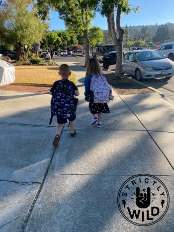 Strictly Wild Checkered Chick Bags Review
